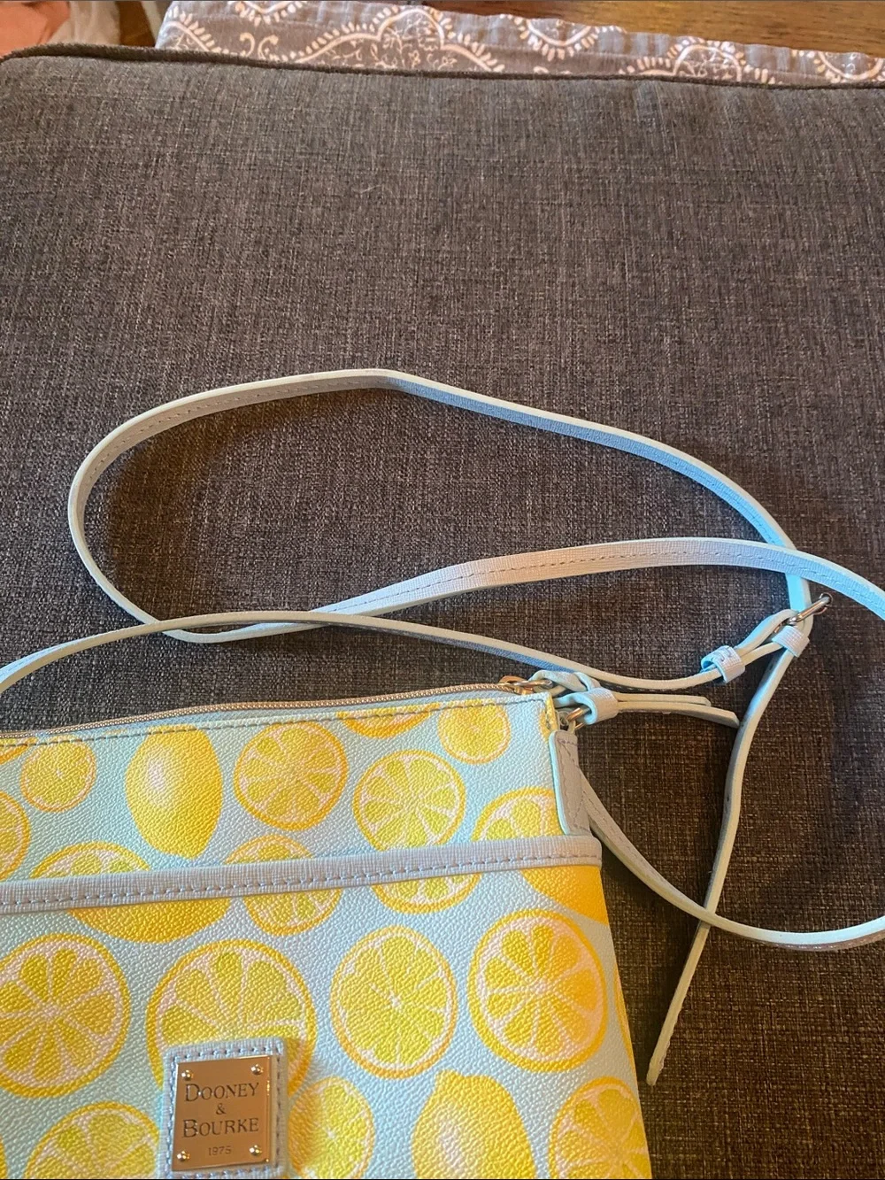 Dooney & Bourke Light Blue Lemon Small Crossbody Bag - 9